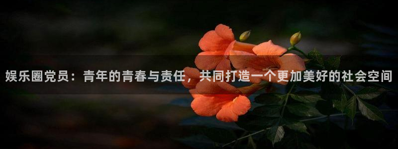 摩根娱乐：娱乐圈党员：青年的青春与责任，共同打造一个更加美好的社会空间