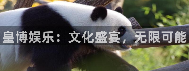 摩根娱乐：皇博娱乐：文化盛宴，无限可能