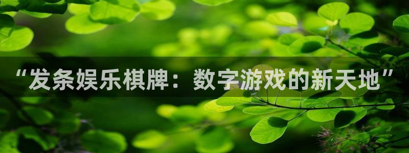 摩根娱乐：“发条娱乐棋牌：数字游戏的新天地”