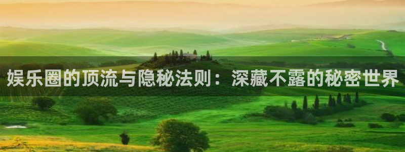 摩根娱乐：娱乐圈的顶流与隐秘法则：深藏不露的秘密世界