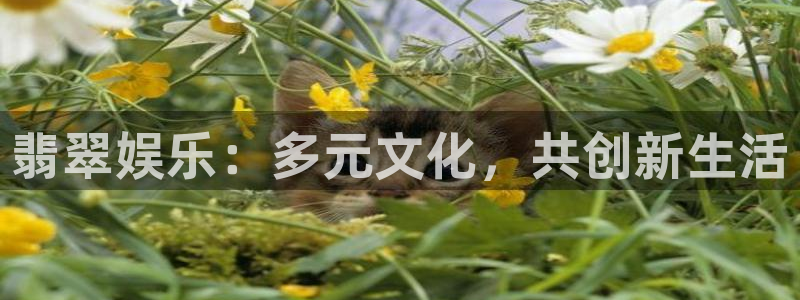 摩根娱乐：翡翠娱乐：多元文化，共创新生活