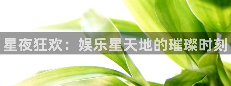 摩根娱乐：星夜狂欢：娱乐星天地的璀璨时刻