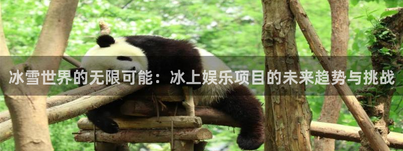 摩根娱乐：冰雪世界的无限可能：冰上娱乐项目的未来趋势与挑战