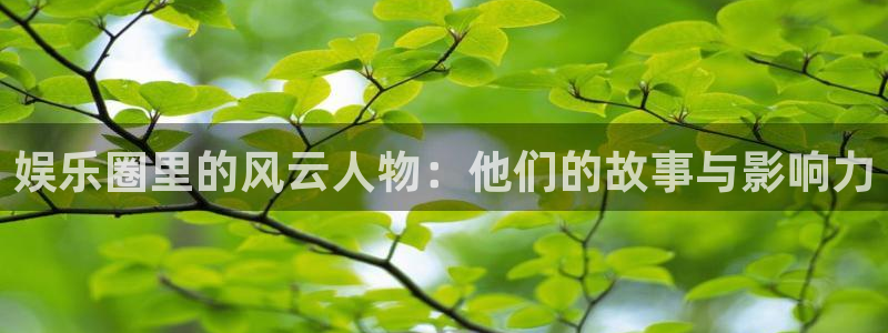 摩根娱乐：娱乐圈里的风云人物：他们的故事与影响力