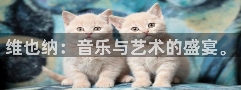 摩根娱乐：维也纳：音乐与艺术的盛宴。